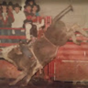 Meet your Posher, Bradley